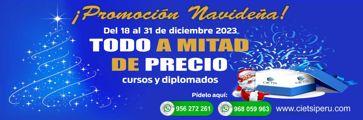 PROMOCIÓN NAVIDEÑA 2023